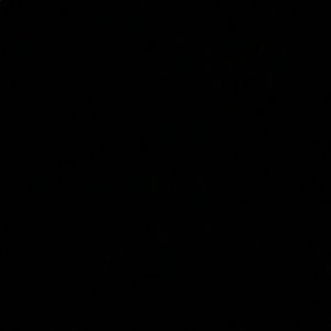 Meet your Posher, Lynn